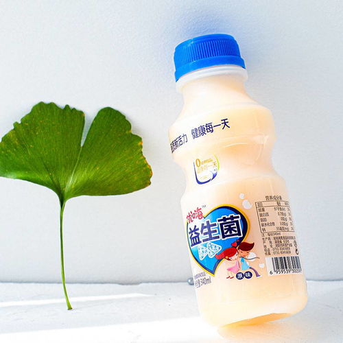 原味乳酸菌飲料12瓶早餐酸奶兒童學生牛奶整箱批發益生菌奶飲包郵