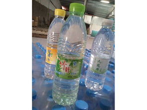 要買的竹葉水,九龍井飲品是您上好的選擇 周口純凈水